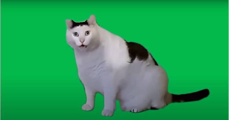 Youtube.com/A1M33
